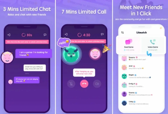 what is litmatch